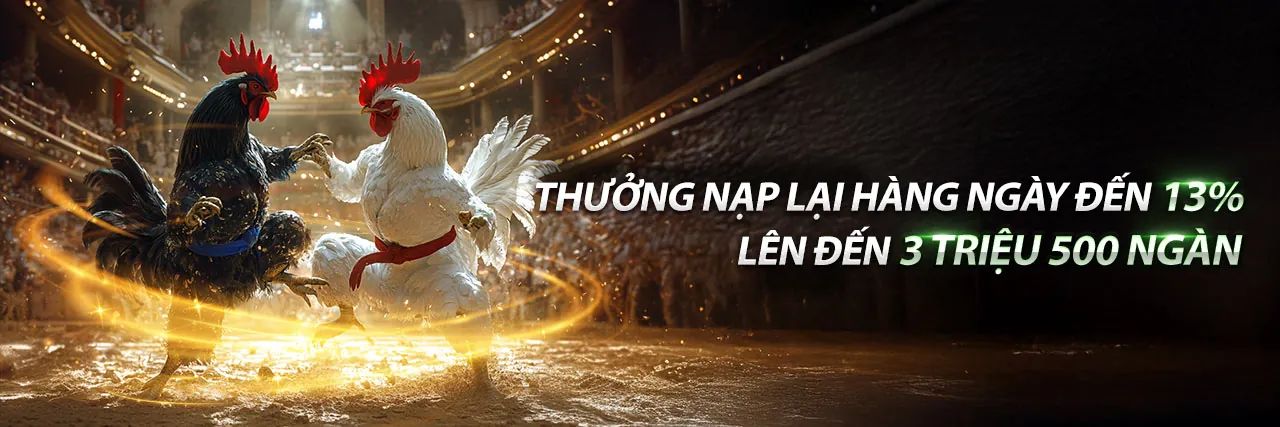 Đá gà trực tuyến JJ888