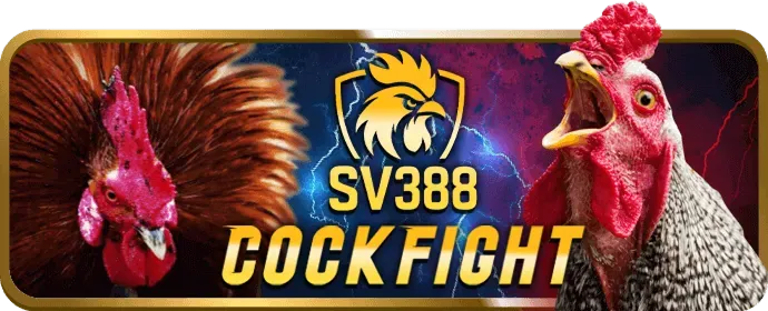 Ưu đãi chào mừng thành viên mới JJ888 Link Vào
